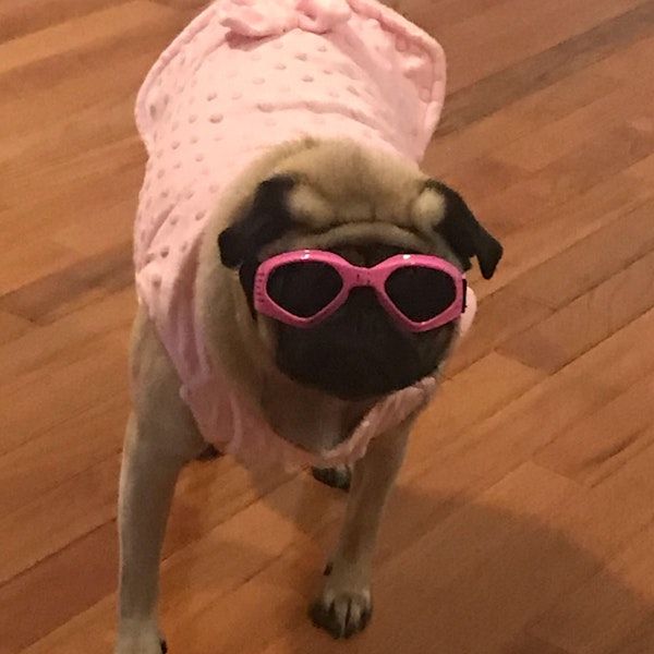 a dog wearing pink clothes and sunglasses